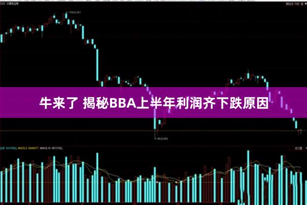 牛来了 揭秘BBA上半年利润齐下跌原因