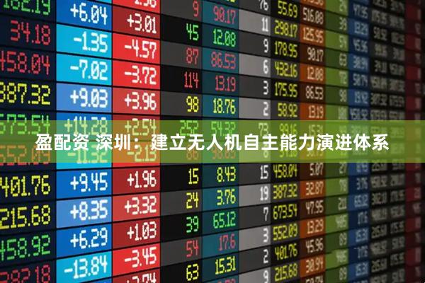 盈配资 深圳：建立无人机自主能力演进体系