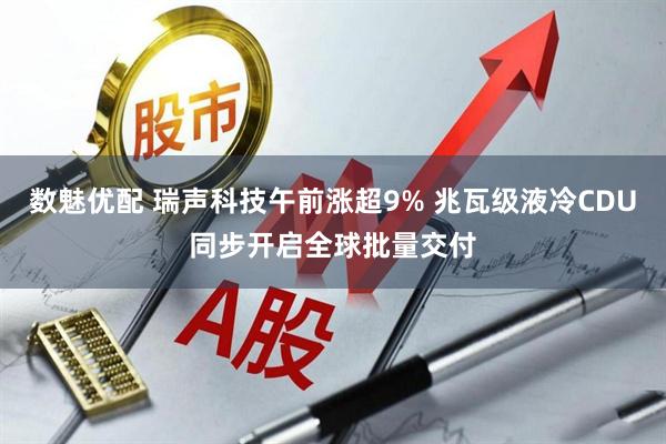 数魅优配 瑞声科技午前涨超9% 兆瓦级液冷CDU同步开启全球批量交付